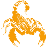 Scorpion Brick and Stone